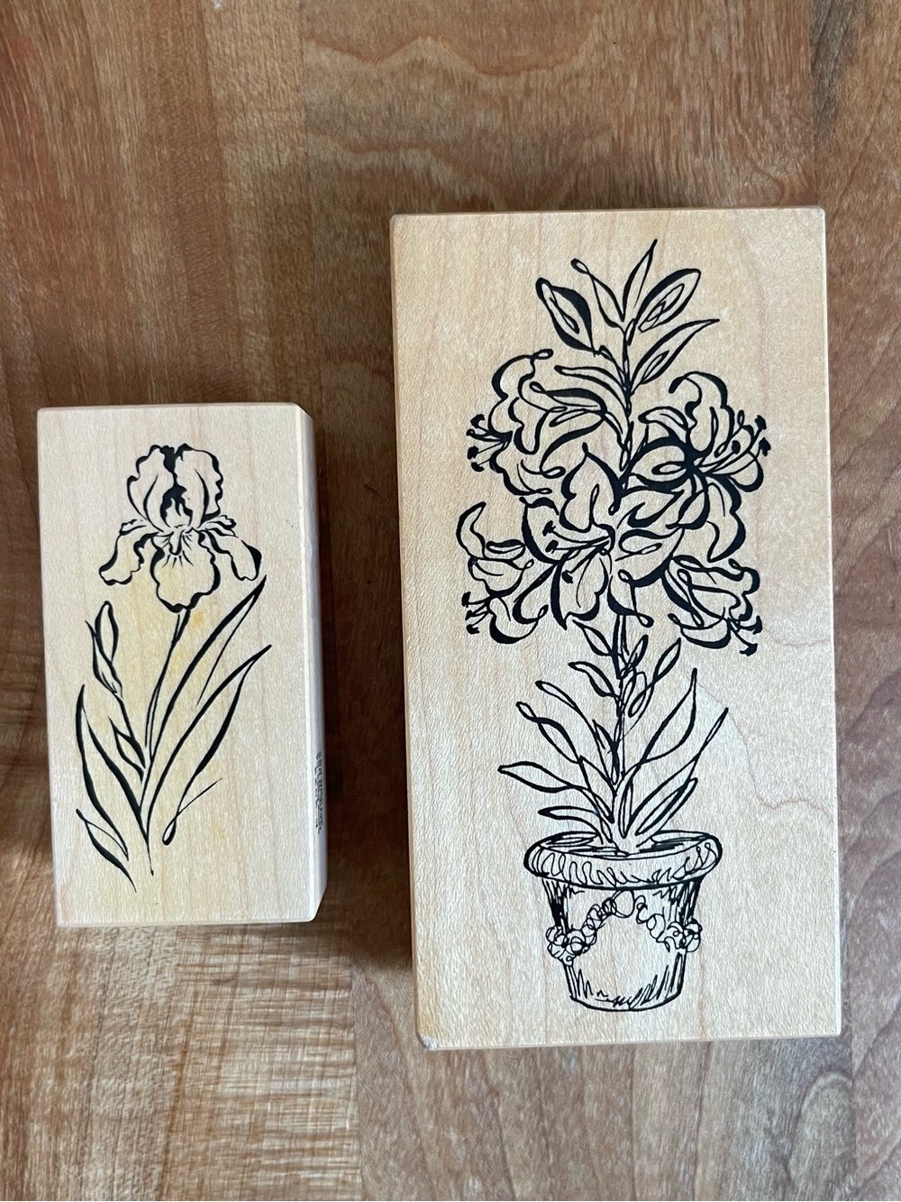 TWO Vintage 90s PSX Rubber Stamps Plants K-2276 E-2522 Botanical Lillies Iris